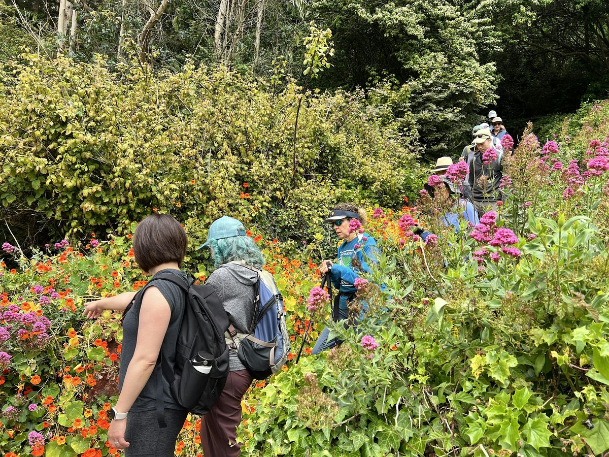 Nature on the Edge: Lands End to Tunnel Tops