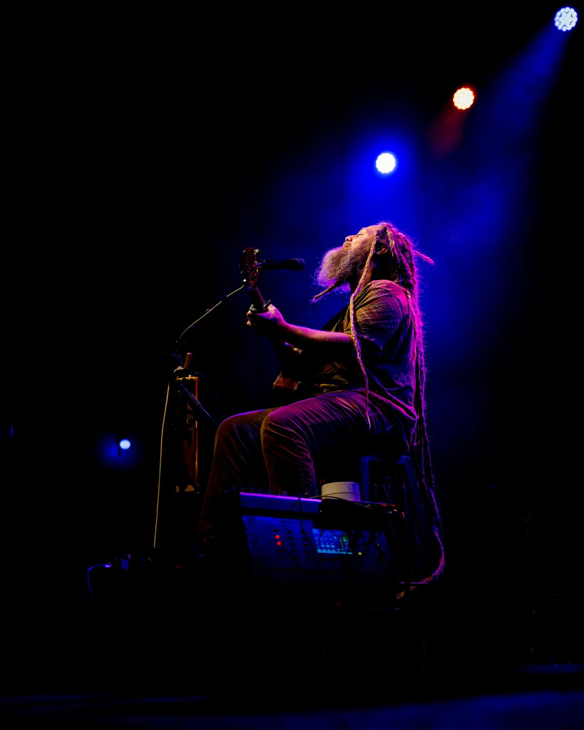 MIKE LOVE SOLO PERFORMANCE