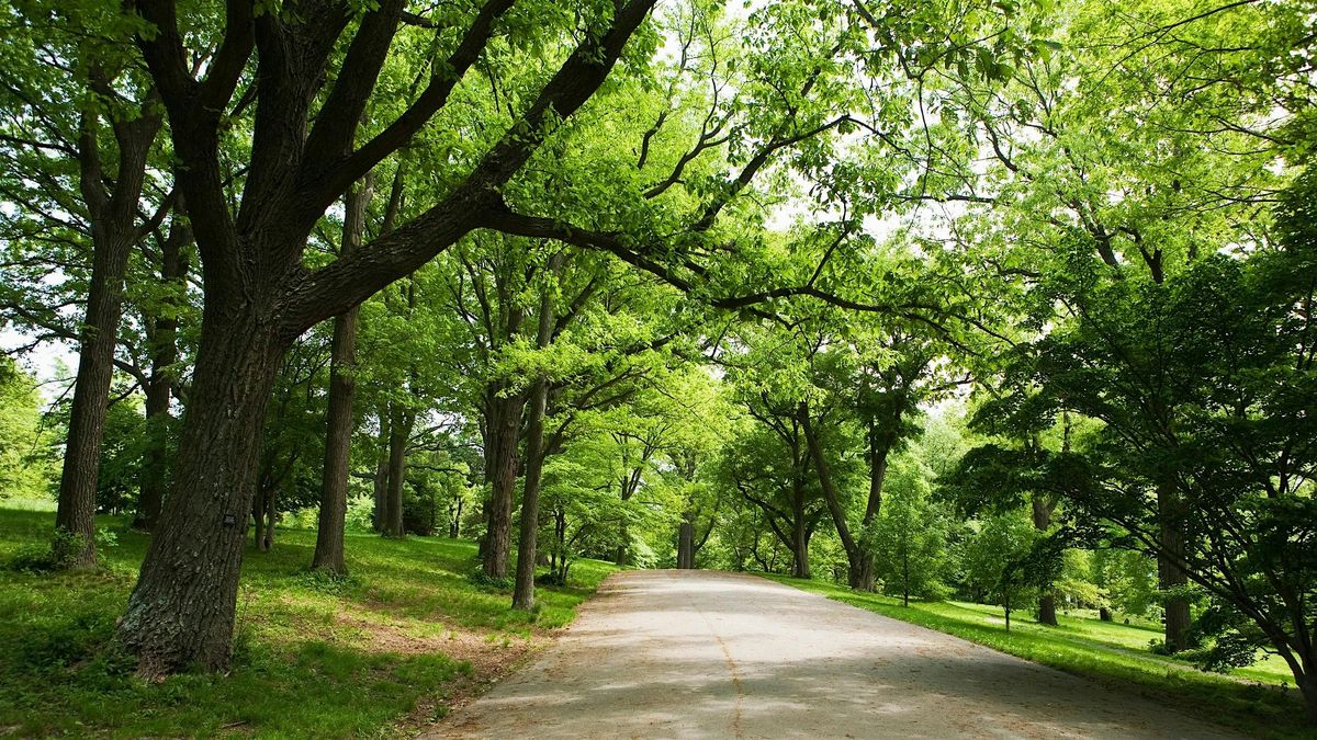 45+ Conscious Singles Walk + dinner at 753 South