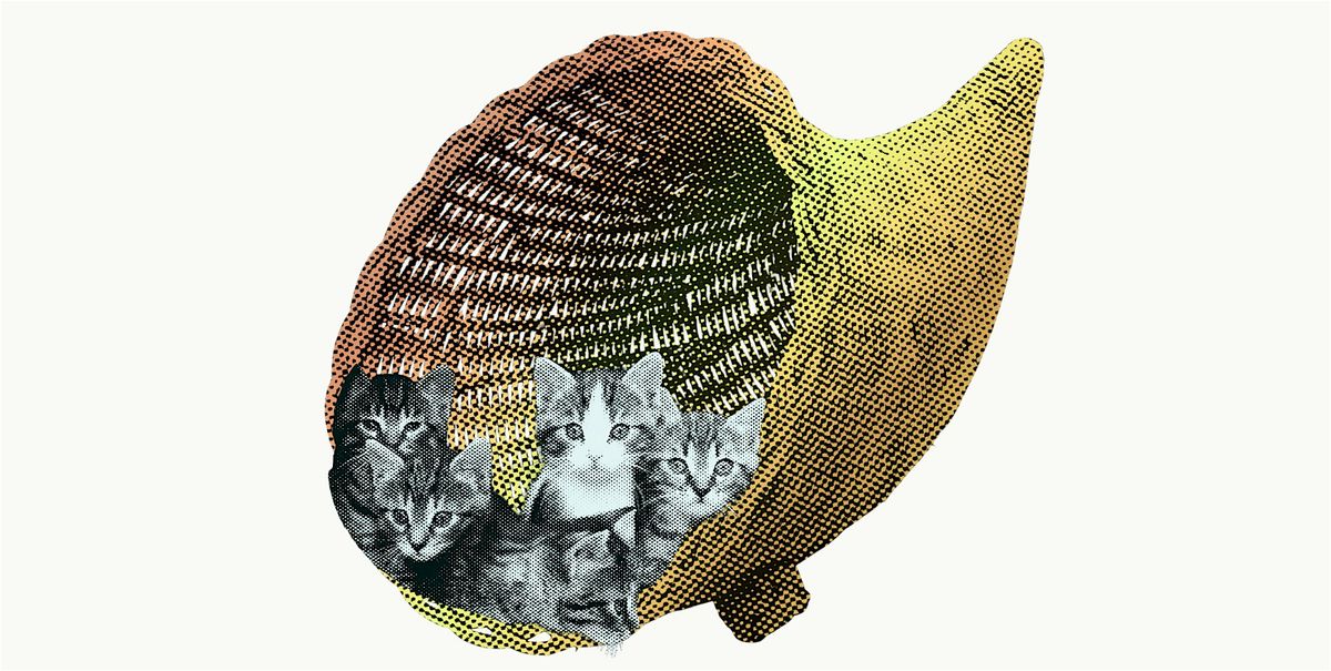 FURRIENDS-GIVING: a supportive gathering for neurodivergent KY artists