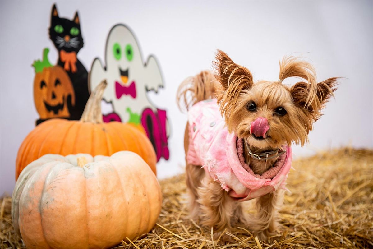 HOWL-O-WEEN DOG MARKET