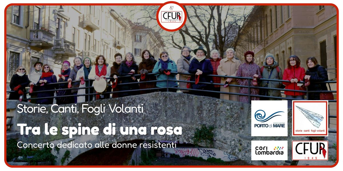 TRA LE SPINE DI UNA ROSA