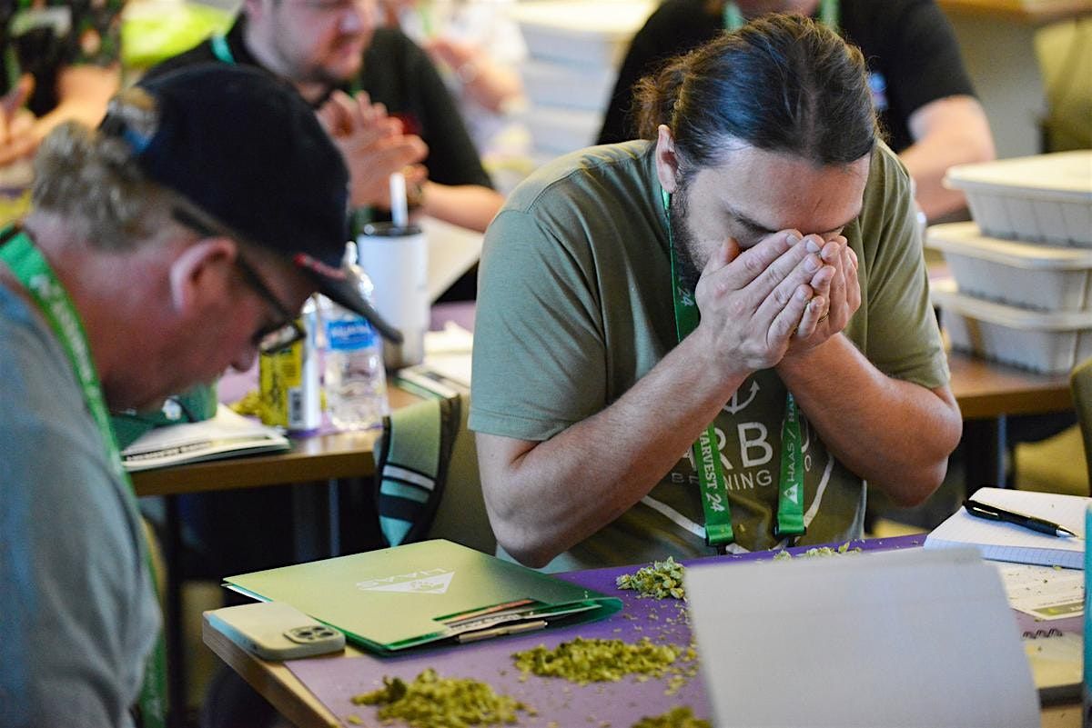 HOPS ACADEMY: HARVEST