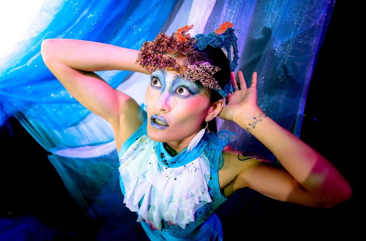 Stella's Imaginarium