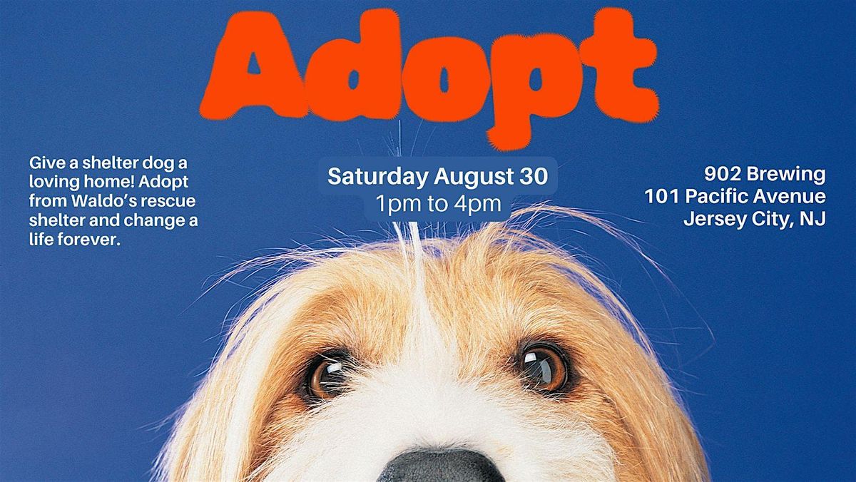 Dog Adoption Day at 902 Brewing Co: Find Your New Best Friend!