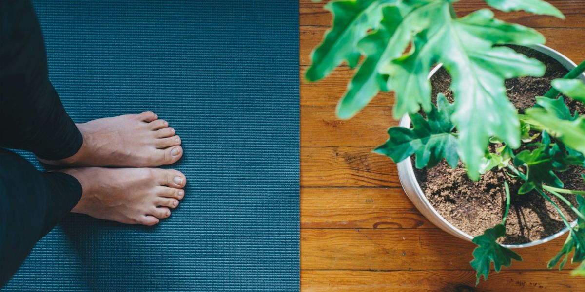 Mindful Yoga (12\/1 - 12\/15)