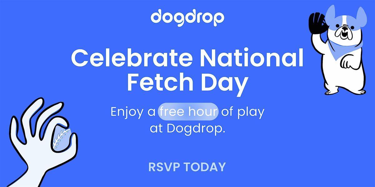 National Fetch Day at Dogdrop - Denver