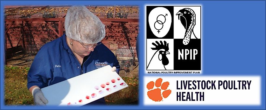 SC NPIP Breeder Flock Certification & NPIP Testers Class | LPH ...