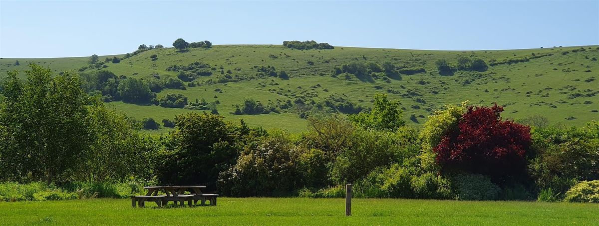 TA101 - Introduction to Transactional Analysis 4th/5th July 2026 at ...