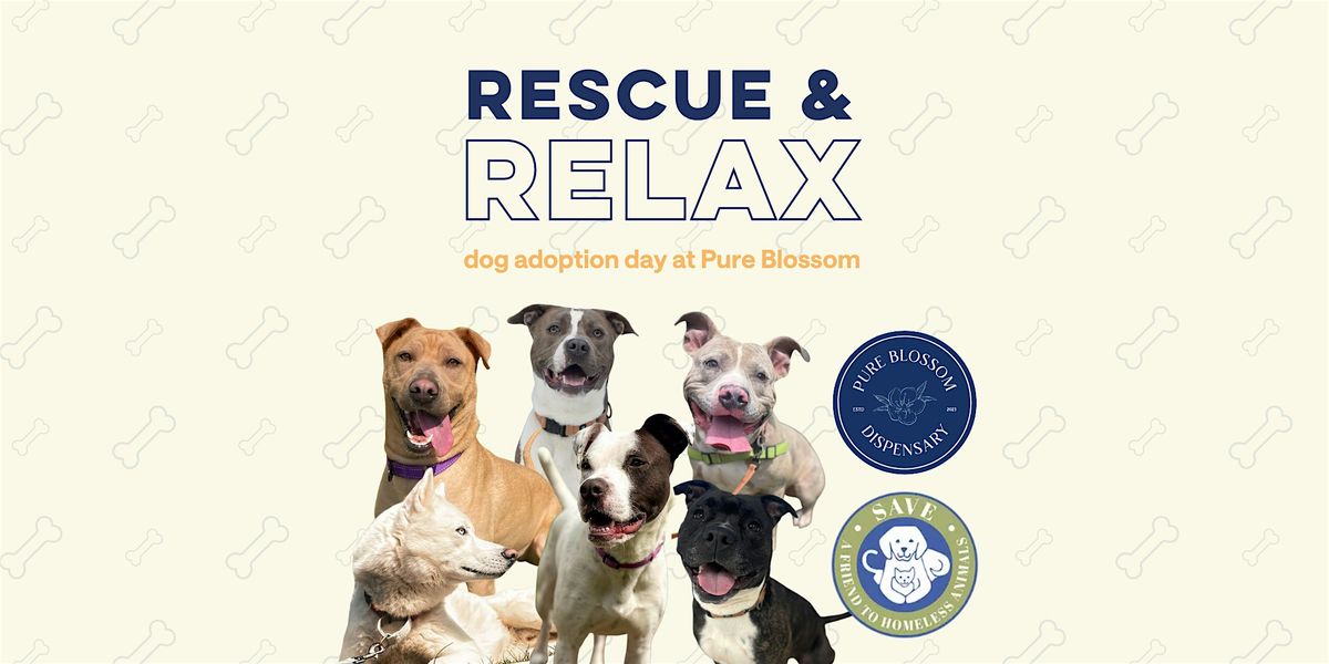 Rescue & Relax: Dog Adoption Day at Pure Blossom