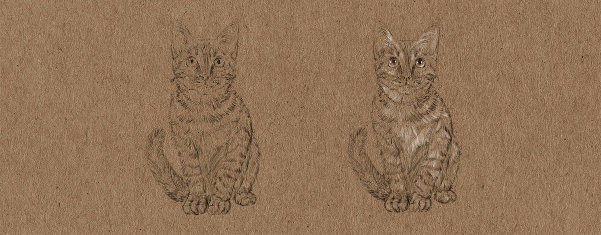 Cat Drawing and Construction with Michael Rios