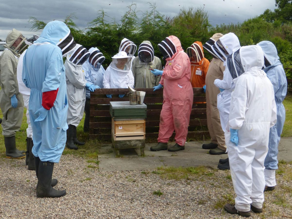 Improvers - Short NDB Course