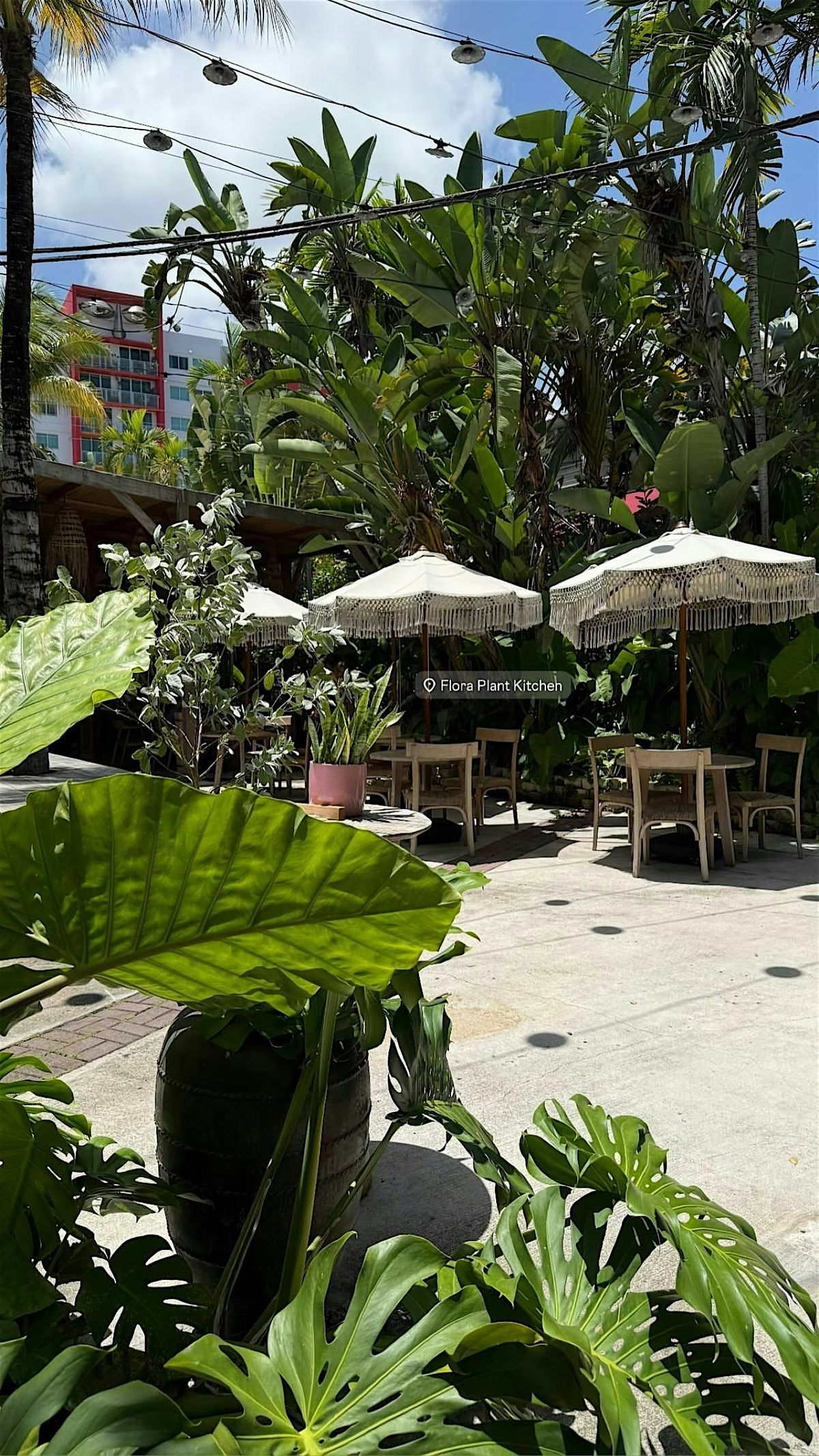 Roots & Radiance Market - at Flora Plant Kitchen!