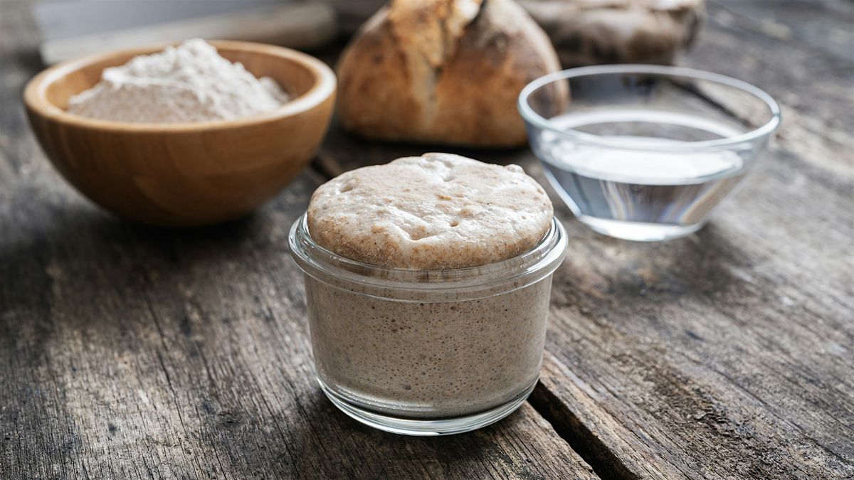 The Joys of Sourdough-Phoebus First Fridays