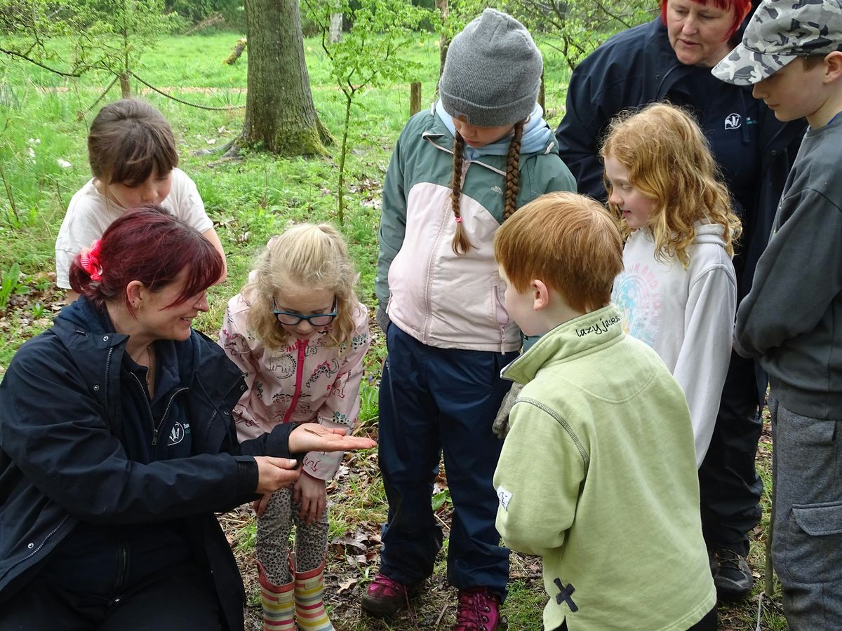 Abbotts Hall Family Forest Fun