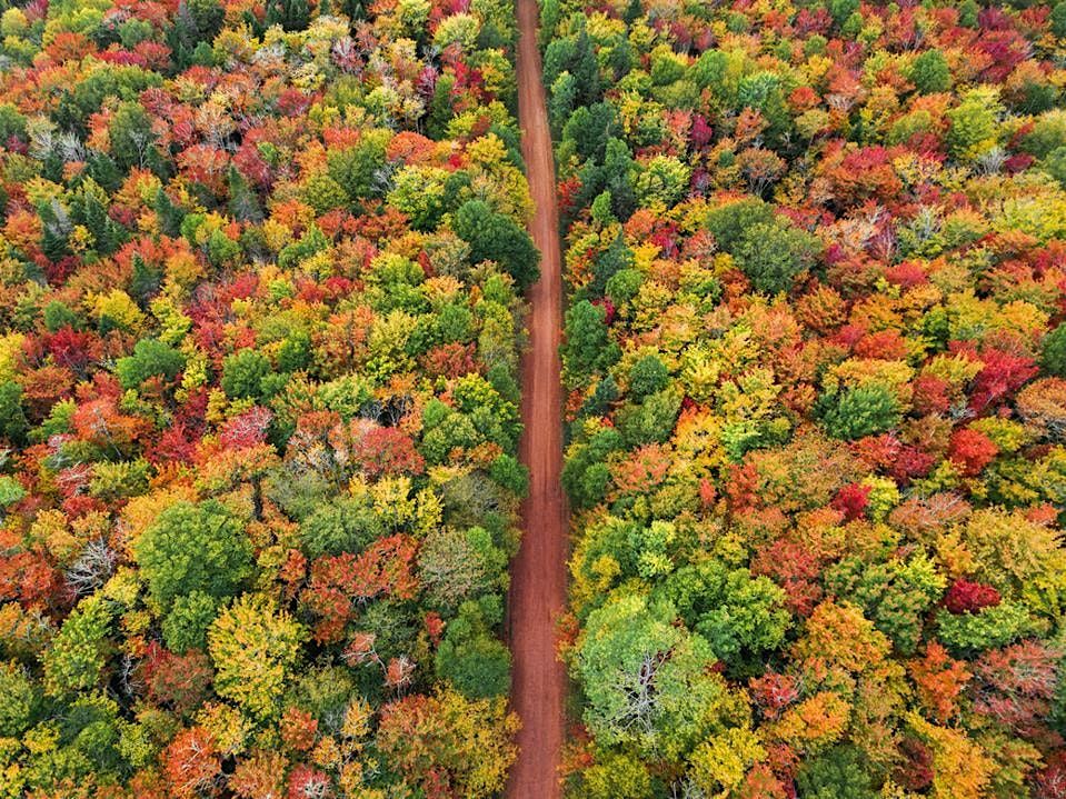 Writing Workshop for the Autumn Equinox