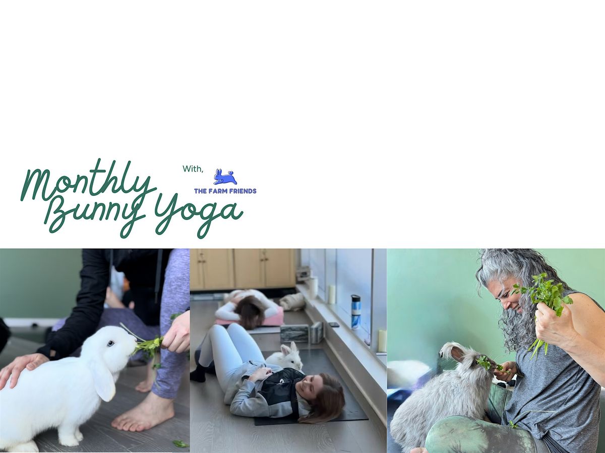Bunny Yoga