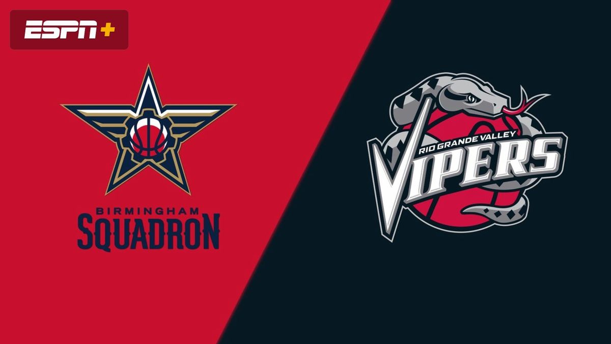 Rio Grande Valley Vipers at Birmingham Squadron