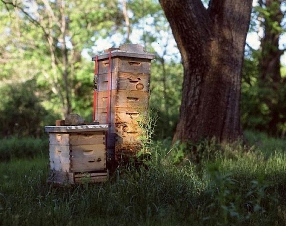 D&D 5E Open Table - The Bookends