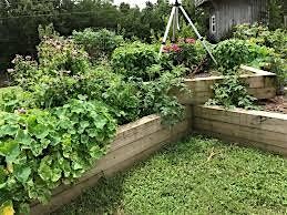 Raised Bed Gardening - Mocksville