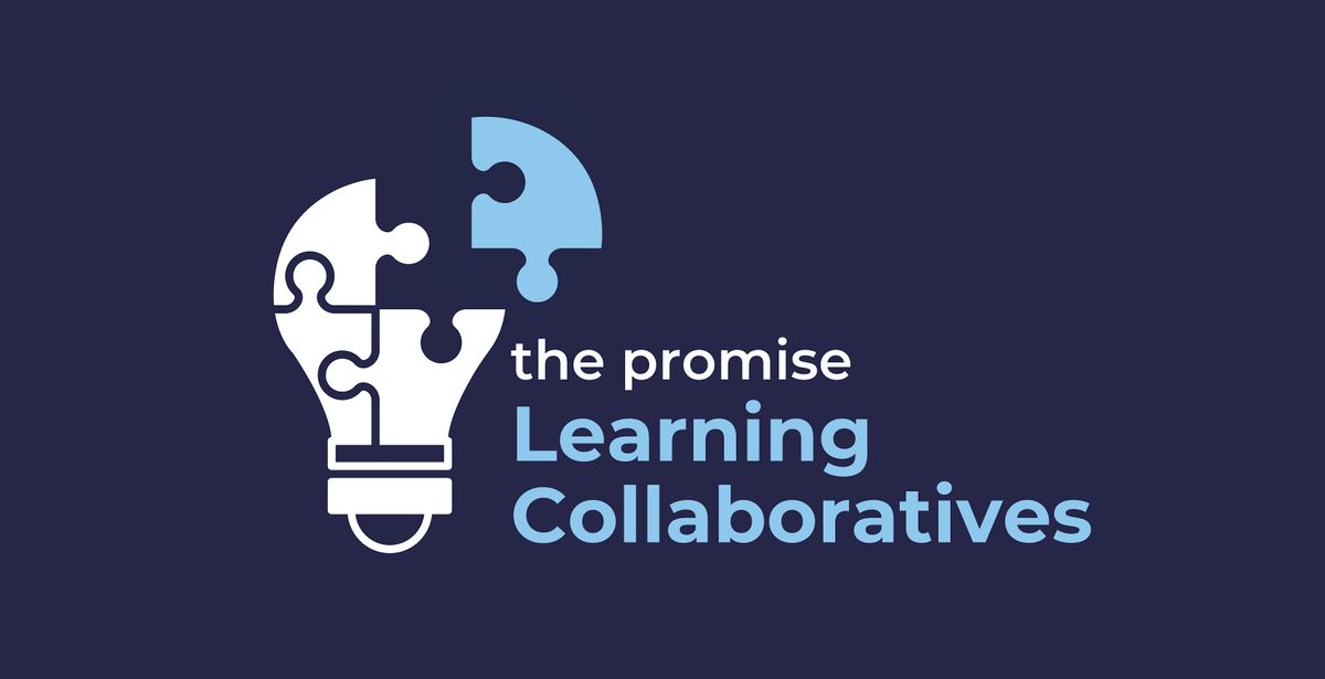 Promise Learning Collaborative - Scaffolding 2 - Edinburgh