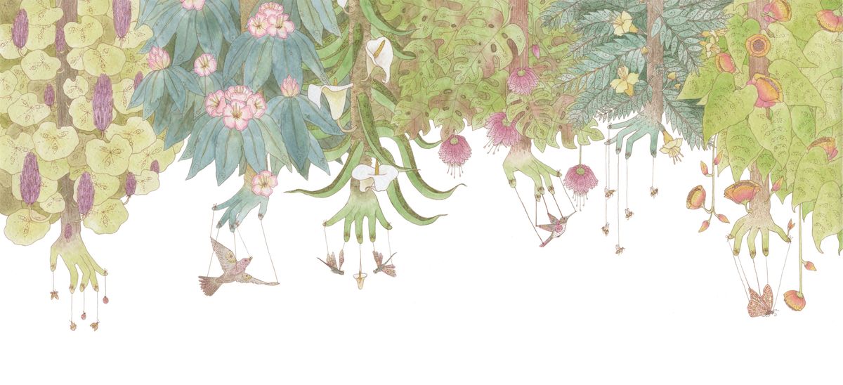 The Forgotten Teachers: Book Launch & Exhibition