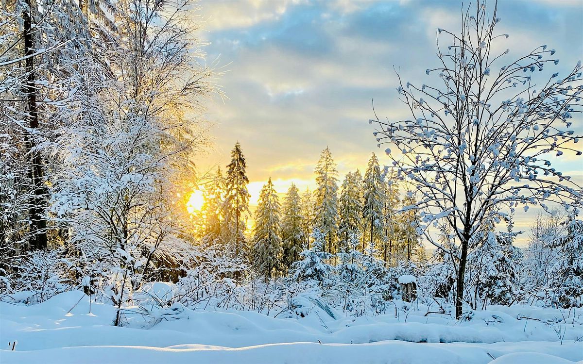 Winter Crafts and Treats