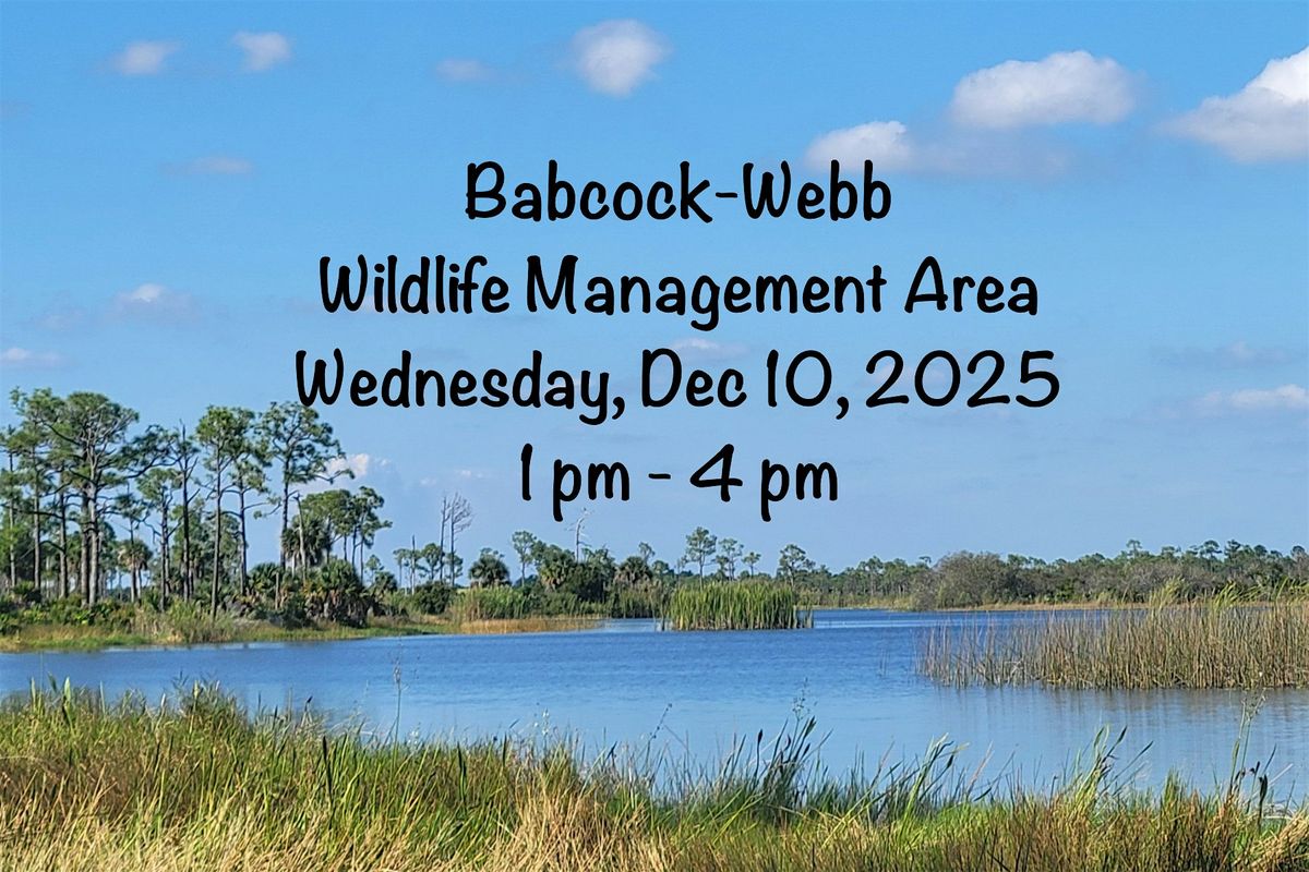 Painting & a Picnic at Babcock-Webb Wildlife Management Area