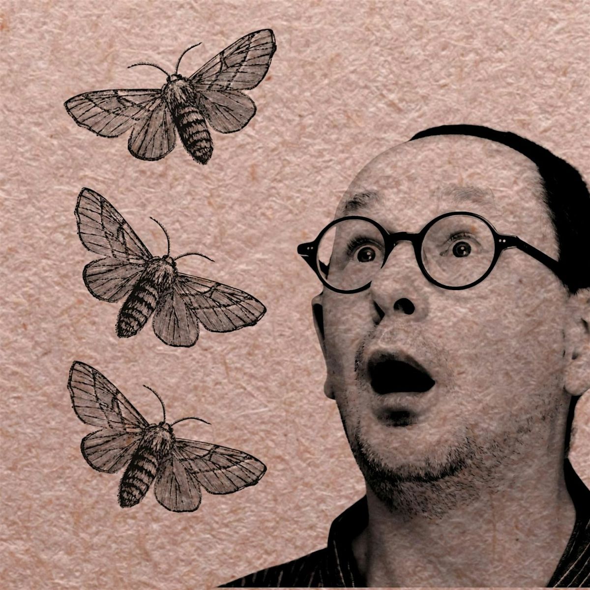 Michael Brunstr\u00f6m Sings Ten Songs about Moths \u2013 FREE