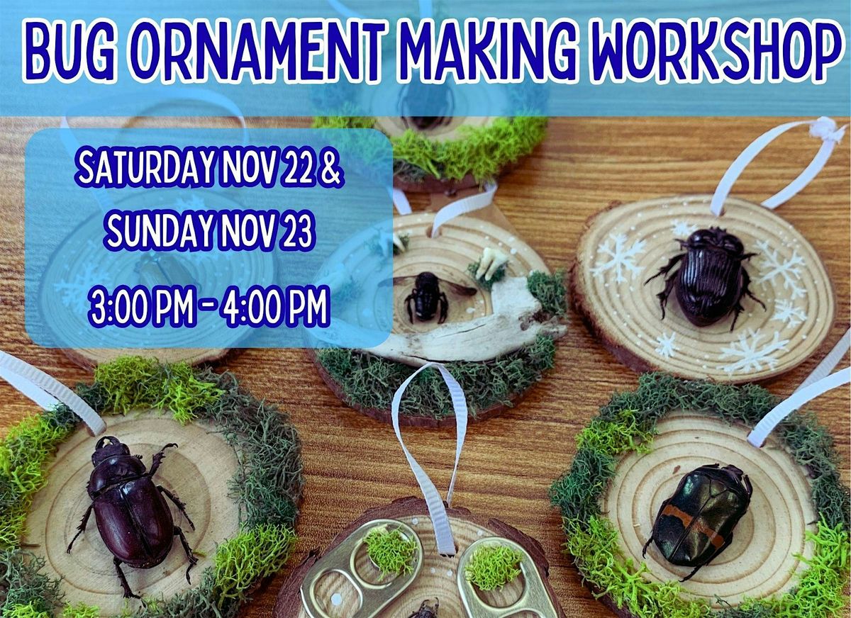 Bug Ornament Making Workshop - Nov 2025