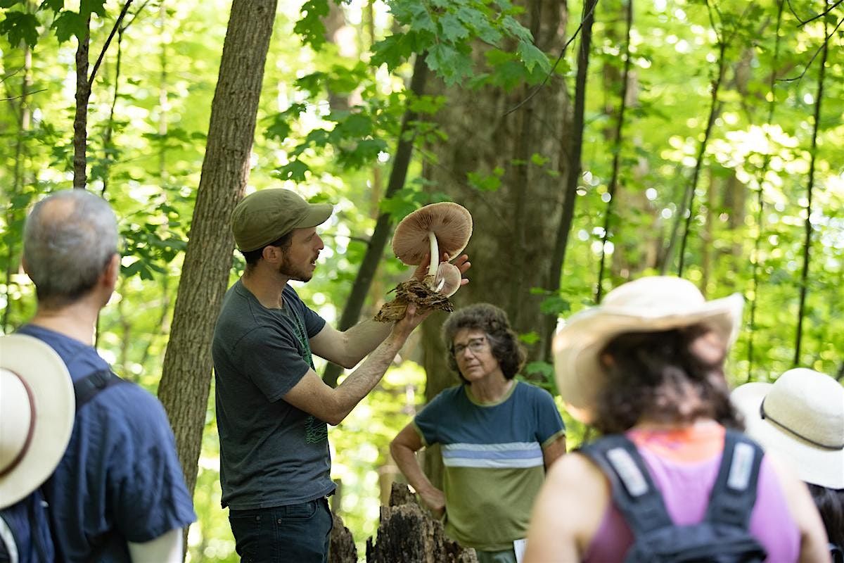 Wild Mushroom Foray