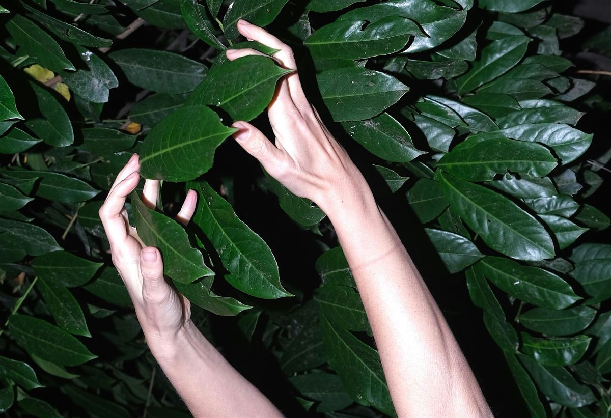 Re-Imagining the City - a night walk with artist Ruby Wallis