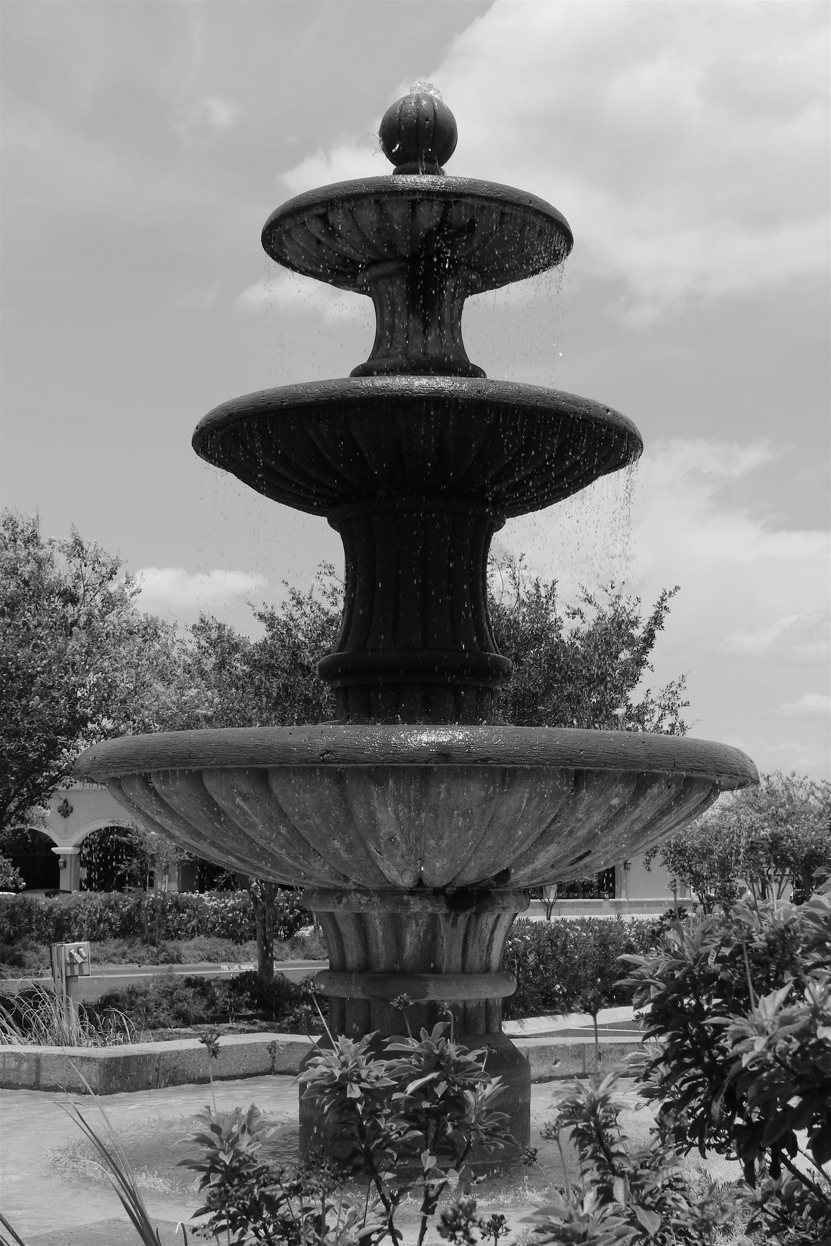 Amazing Scavenger Hunt! - McAllen Scavenger Hunt