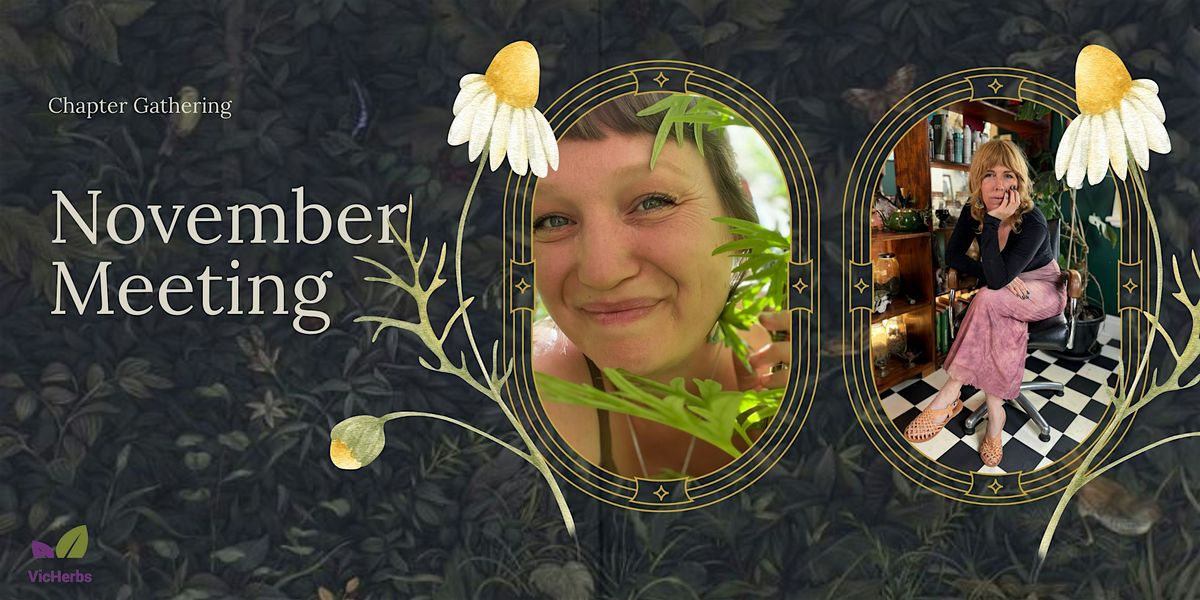 Relational Herbalism- A Reclamation of Plant Centered Practice