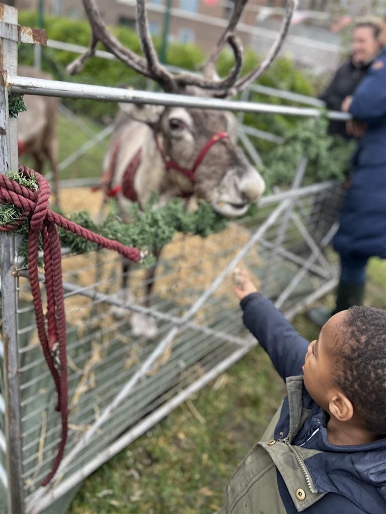 Wander Wild Reindeer Fest!