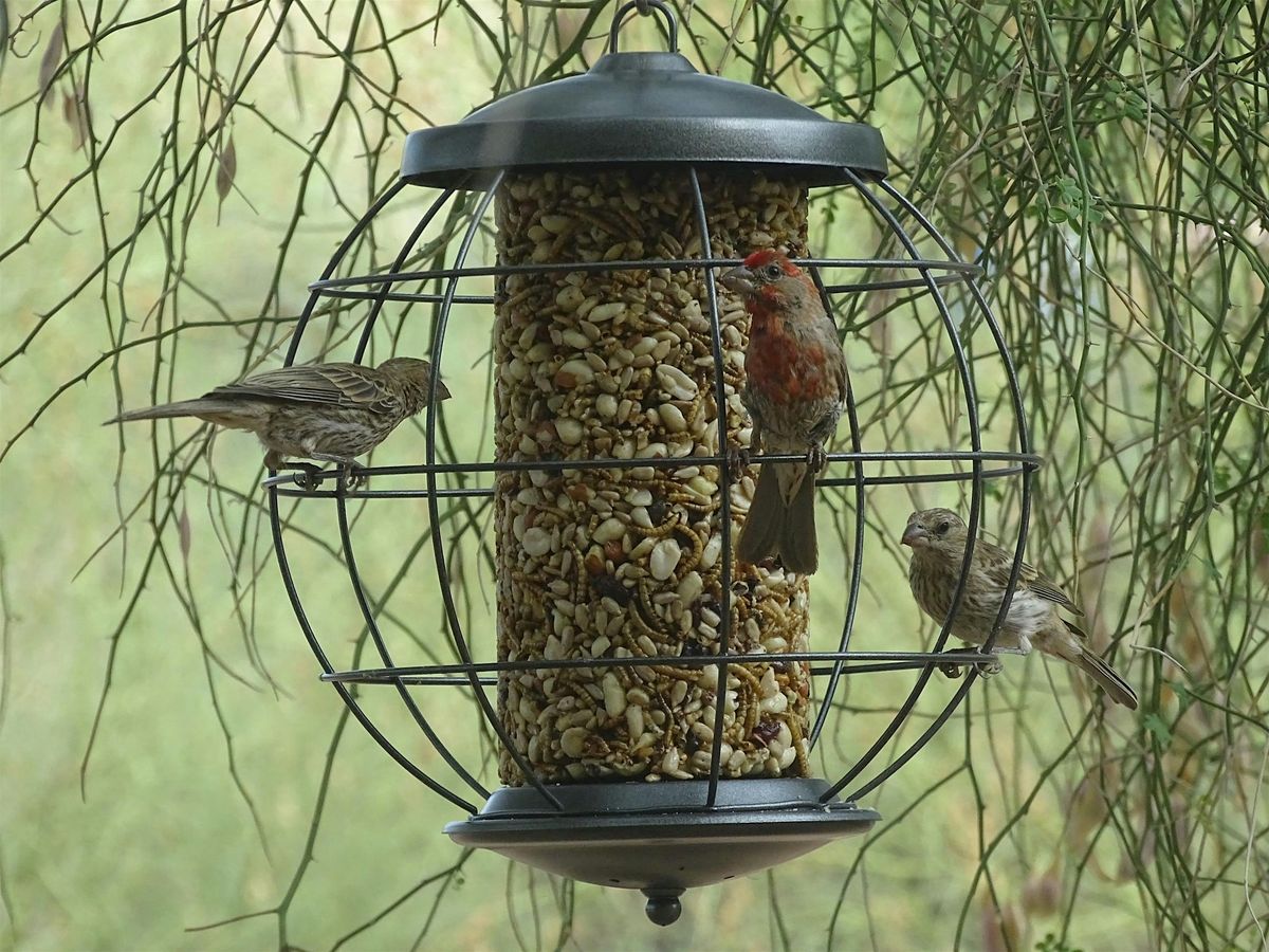 Project FeederWatch Sign-up and Session
