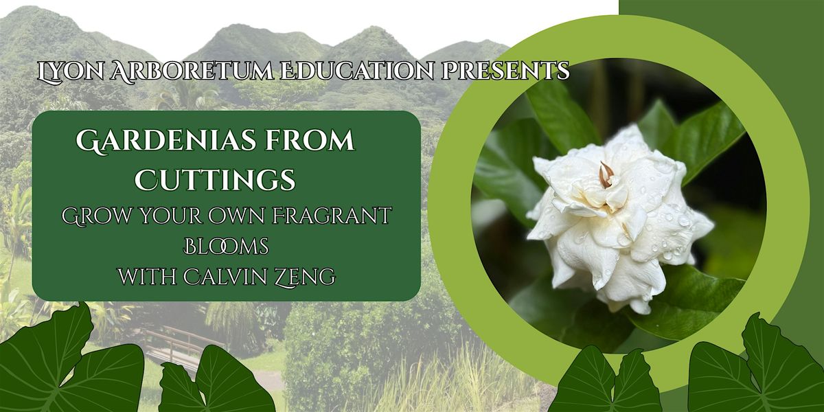 Gardenias from Cuttings