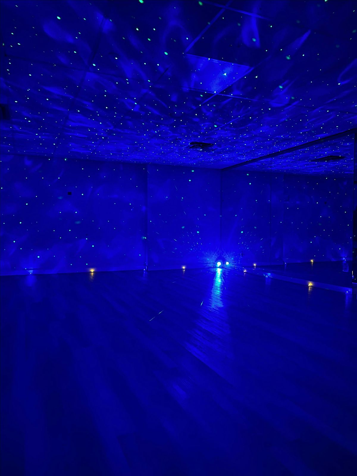 BIOFIELD ENERGY CLEARING FOR RELATIONSHIPS