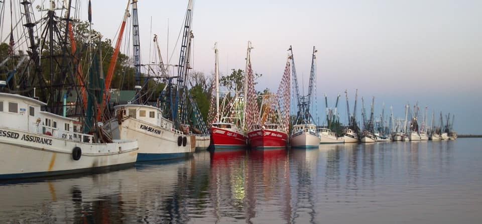 Fresh Wild Caught GA Shrimp