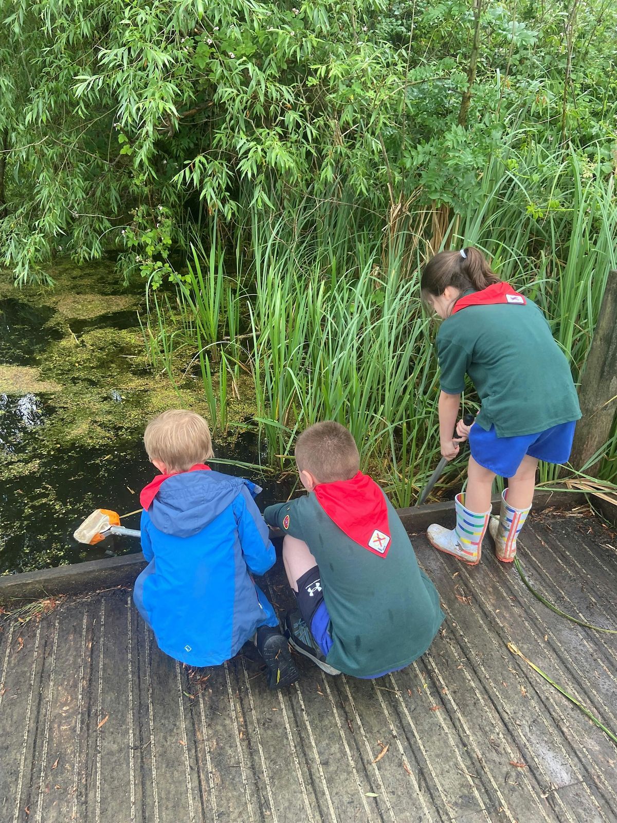 Nene Wetlands Pond Dipping and Mini Beasting