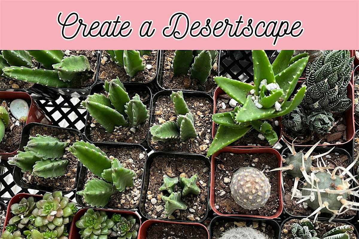 Create a Desertscape