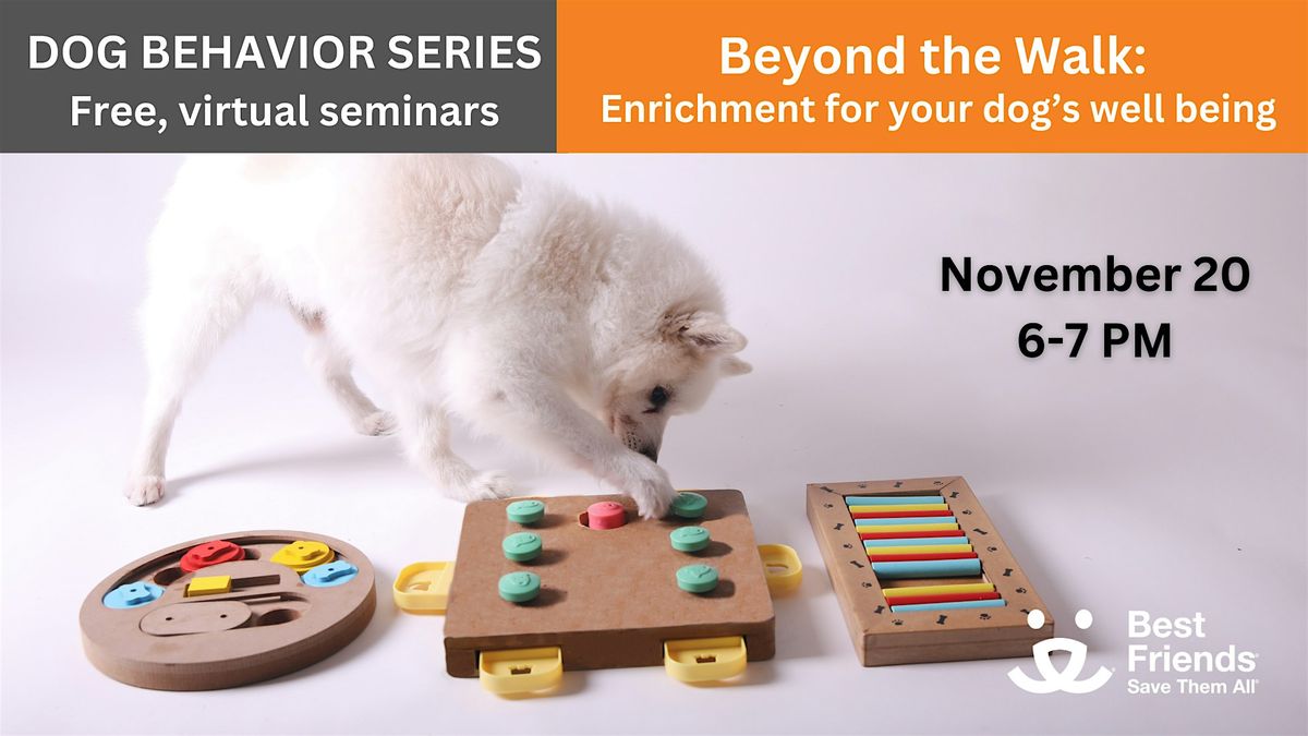 Dog Behavior Seminar Series:  Enrichment for your dog's wellbeing