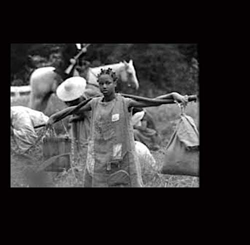 Black Film: Unscreened & Unstreamed, Growing Into Strength