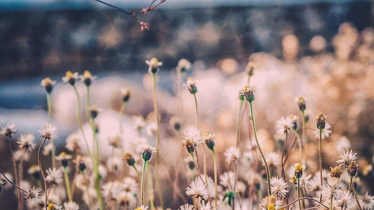 Breath Works & Sound Bath Experience