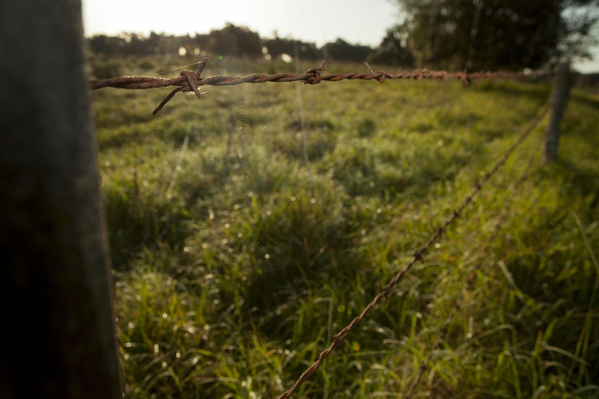 Fall Pasture Series - Marion County Extension Office