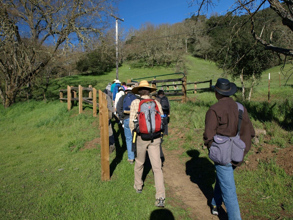 Birding at Rancho Ca\u00f1ada del Oro Open Space Preserve!