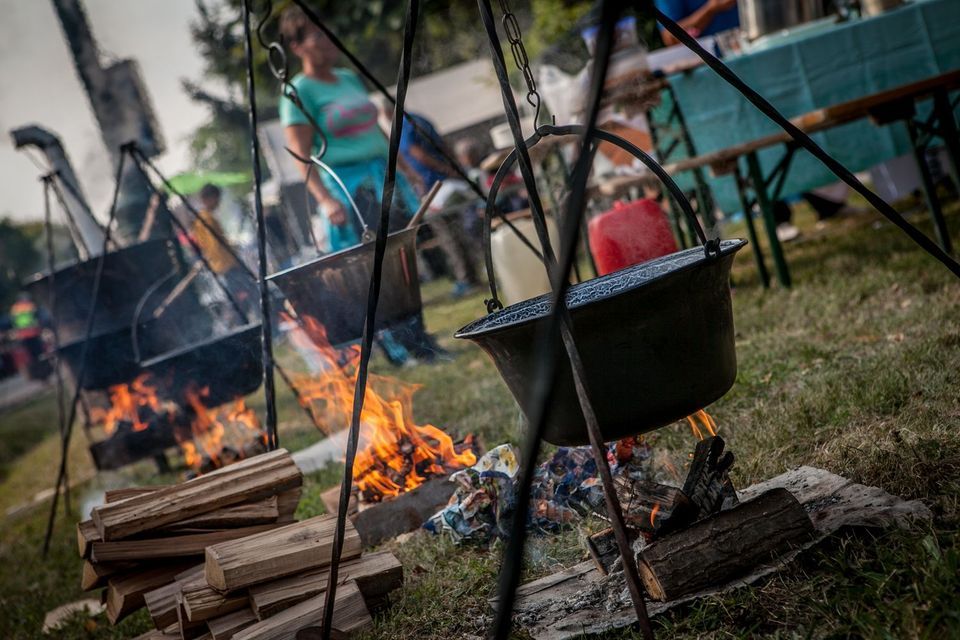 XXII. \u00c1roksz\u00e1ll\u00e1si Ny\u00e1r - Birkaf\u0151z\u0151 verseny 2023. j\u00falius 8.