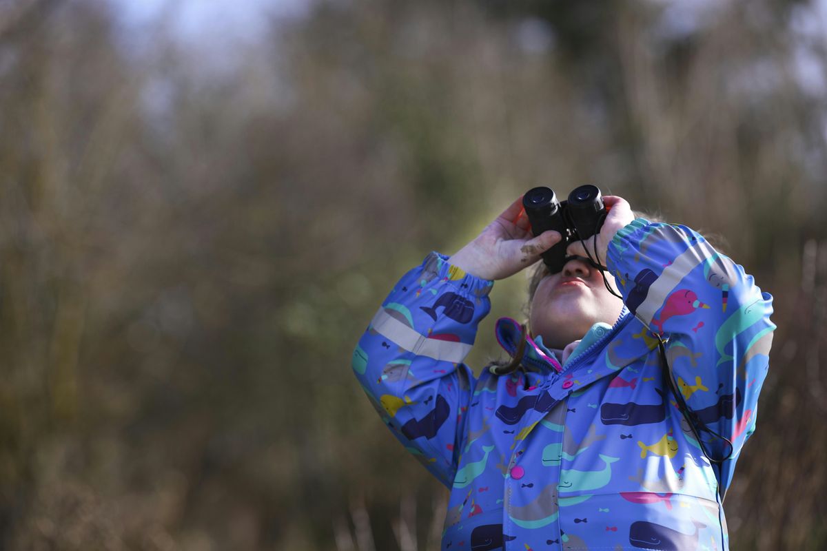 Langdon Love Wildlife Event