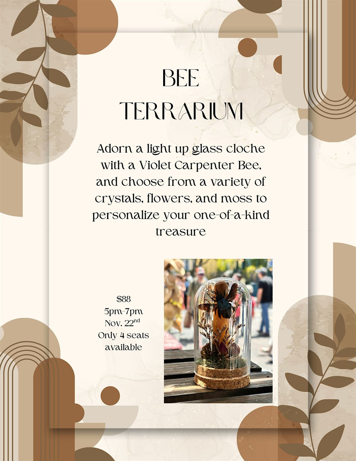 Create a bee terrarium!