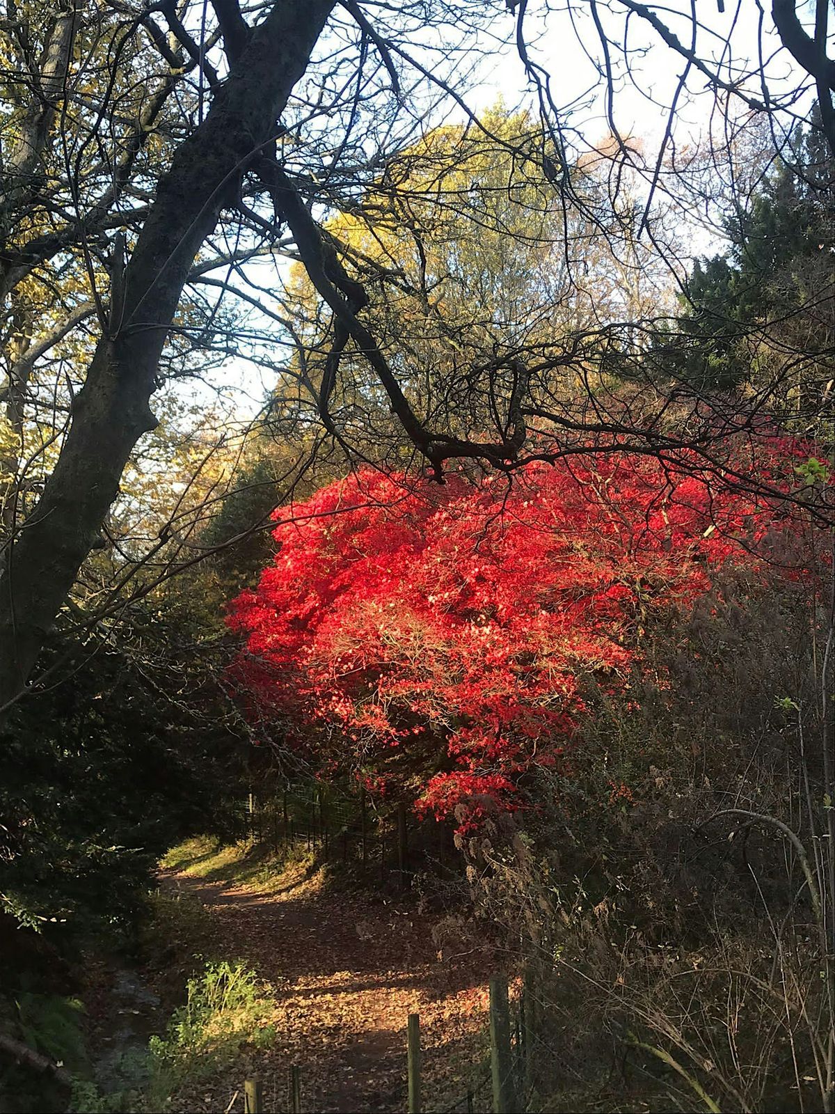 Taking time to explore, play and connect through nature
